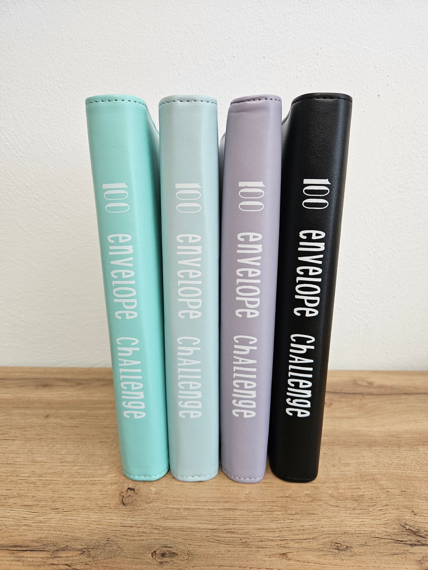 100 Envelope Challenge Binder NEU
