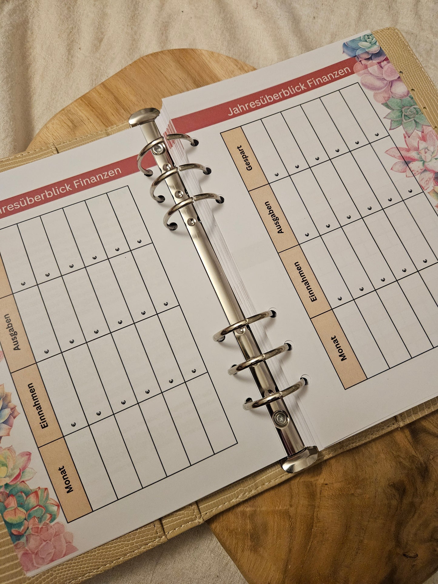 Budget Planer XL Kakteen NEU