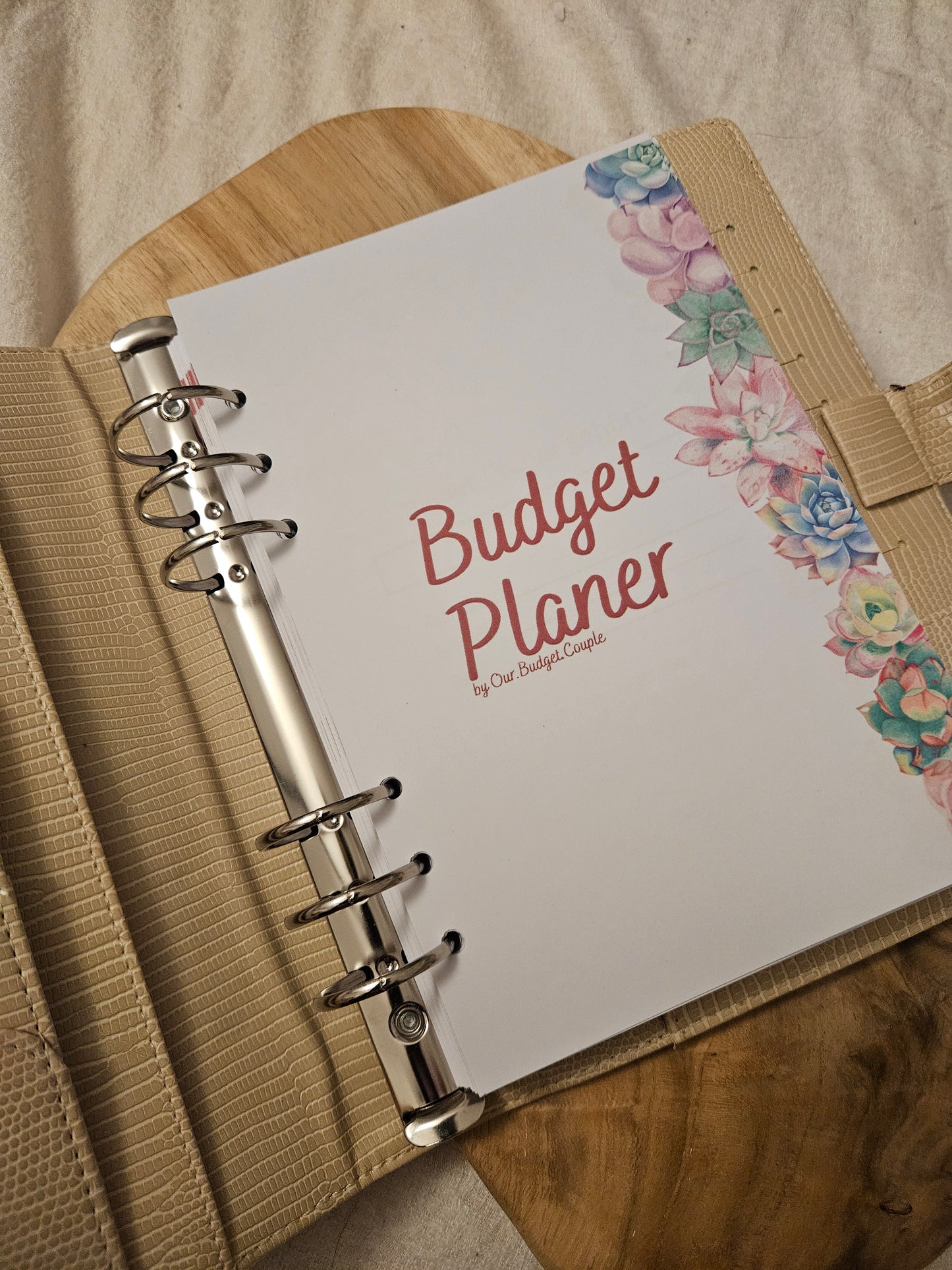 Budget Planer XL Kakteen NEU