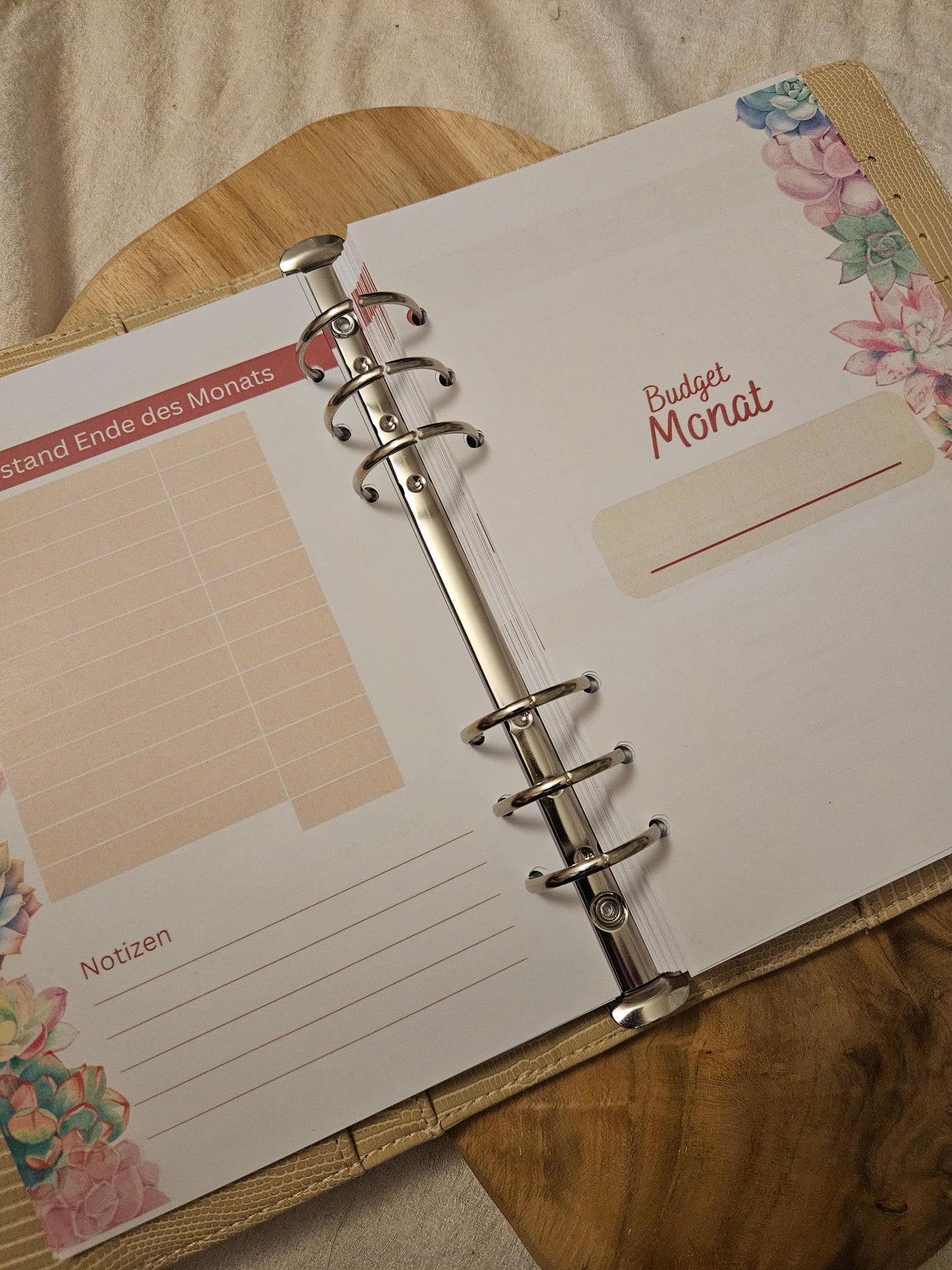 Budget Planer XL Kakteen NEU