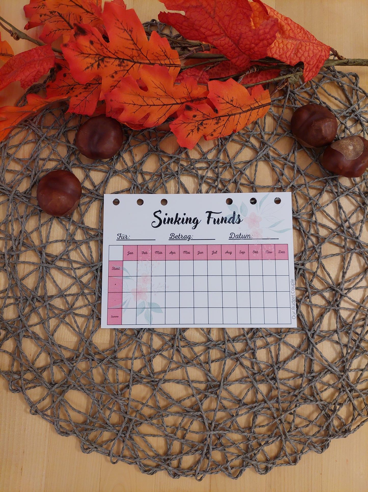 Sinking Funds Tracker