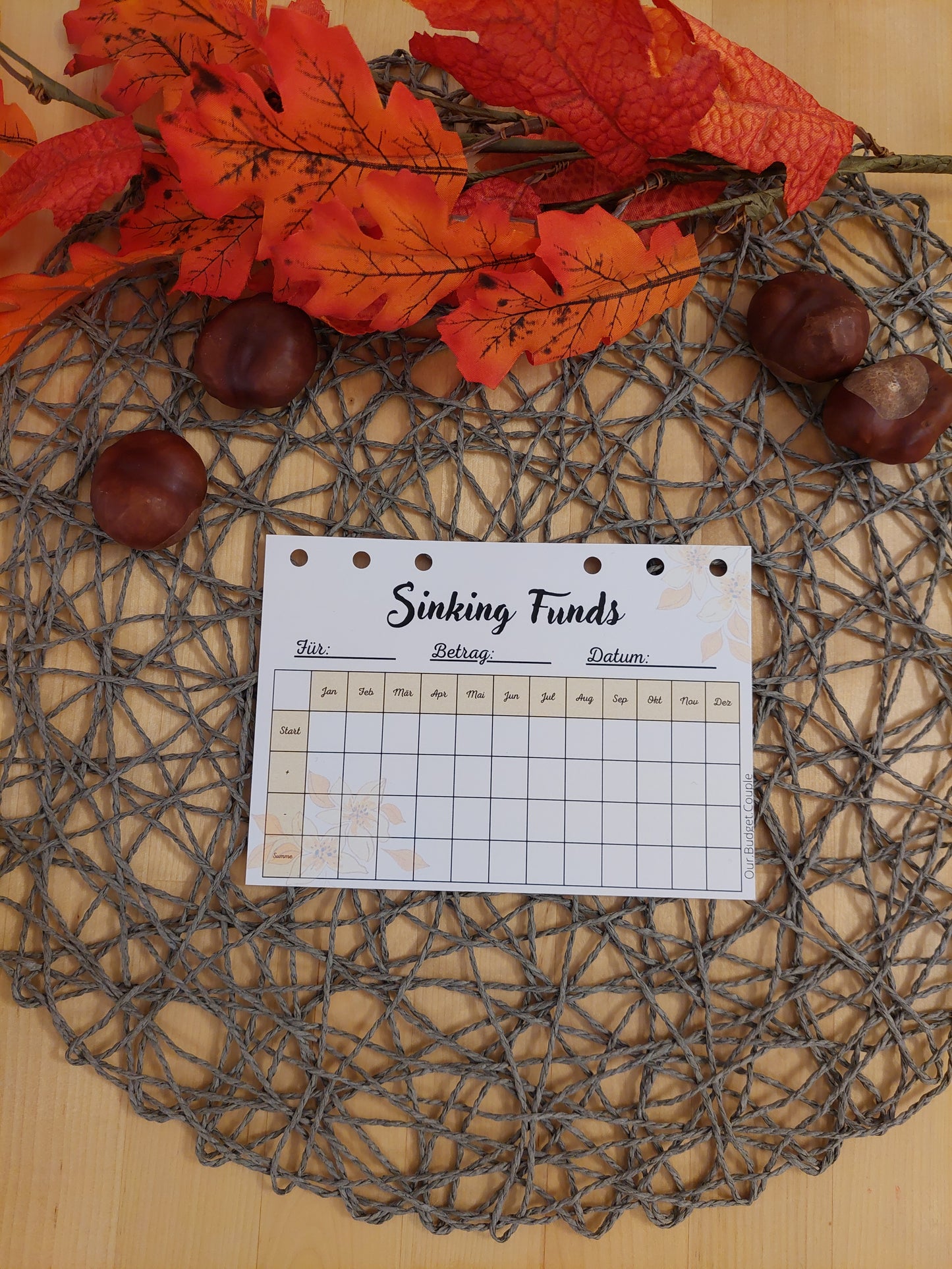 Sinking Funds Tracker
