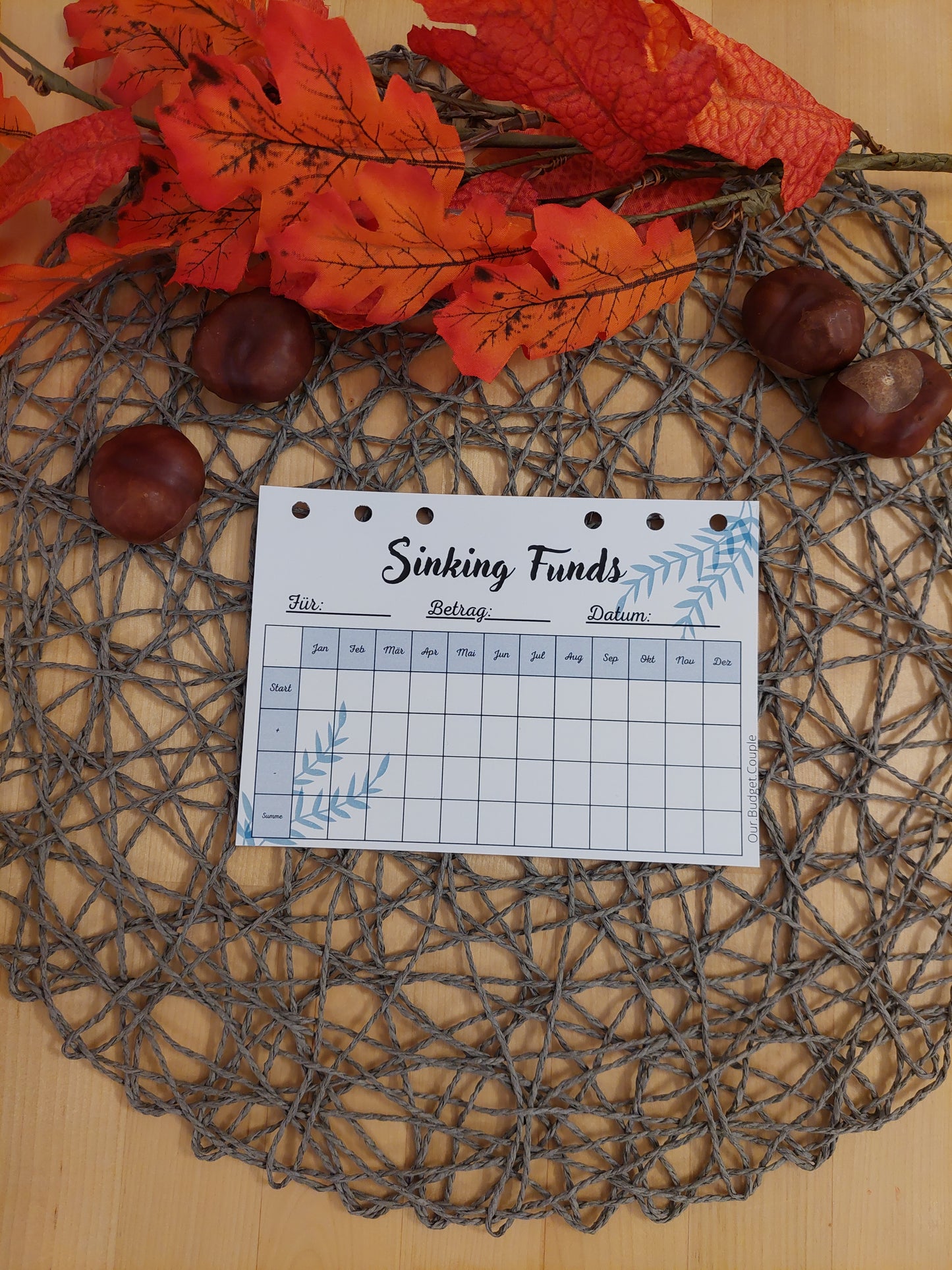 Sinking Funds Tracker