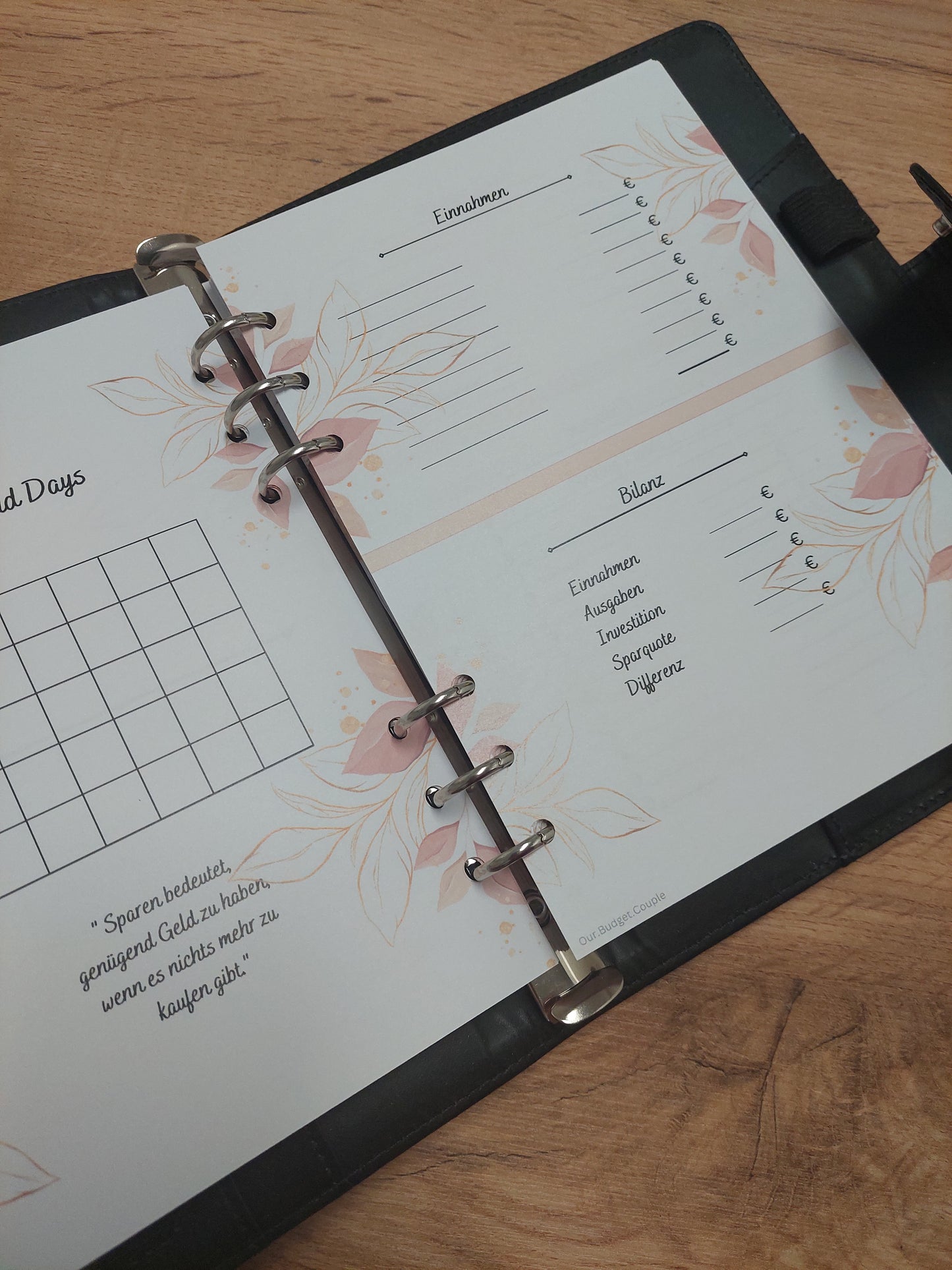 Budget Planer XL Rosé