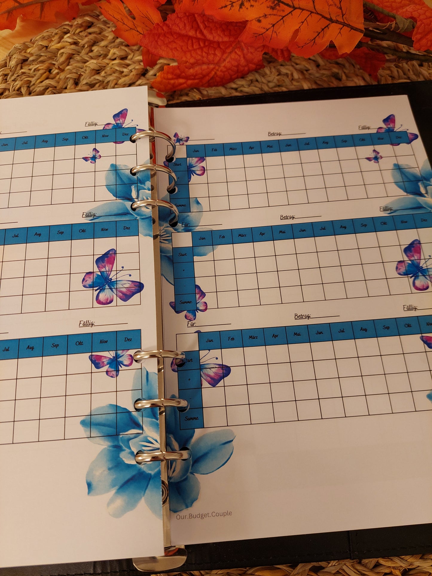 Budget Planer XL Blau