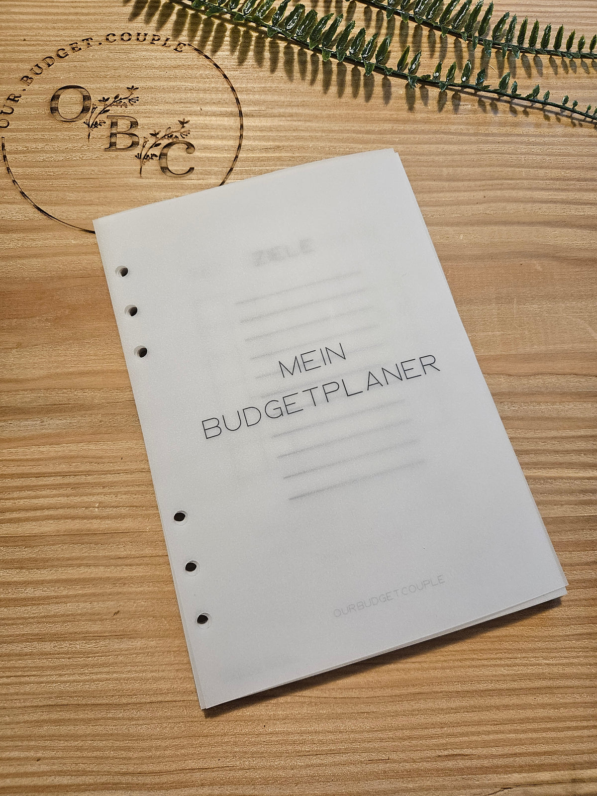 Budgetplaner Laminiert (wiederverwendbar)