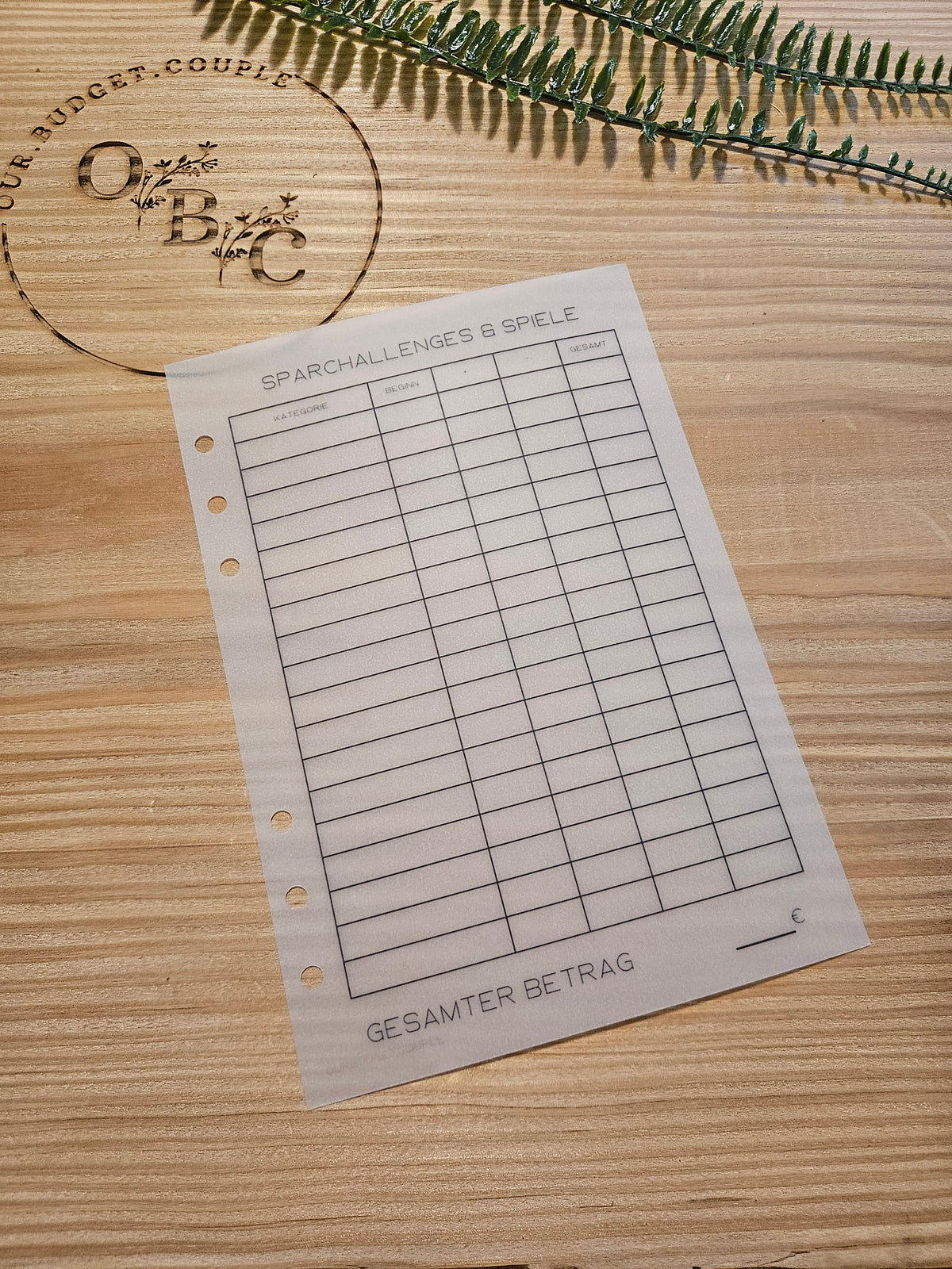 Budgetplaner Laminiert (wiederverwendbar)